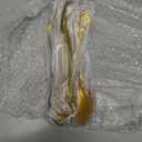 Dandat 40 Pcs Gold Forks and Spoons Silverware Set, Stainless Steel Flatware Cutlery 8-inch Utensil for Wedding, Party, Home, Dinners, Kitchen and Restaurant, Mirror Polished, Dishwasher Safe(Retro)