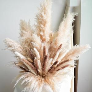 Decorative Tall Pampas Grass for Floor Vase Premium Large Pampas Grass Decor Tall, 17"-40" Pampas Grass Stems, Dried Pampas Grass Decor Tall, Natural Pampas Grass with Beige Decor and Boho Feathers