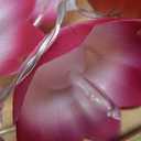 alikiki Diwali Gifts Electronic LED Diyas - Lotus Shaped Diya String Lights Diwali Pooja Item Indian Home Office Mandir Puja Decor, 10 Lotus Diyas per String, Battery Operated, Waterproof