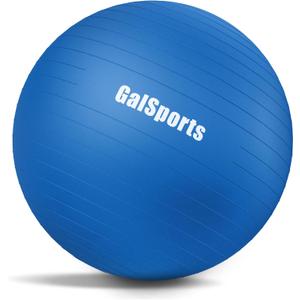 GalSports Anti-Burst Slip Resistant Stability Ball - Swiss Ball for Home Gym & Physical Therapy, Large, 26ines/65cm/With Pump, Blue