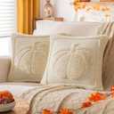 Beige Pumpkin Fall Pillow Covers 20"x20" Set of 2, Embroidered Faux Fur Decorative Throw Pillow Covers for Couch Soft Fluffy Plush Cushion Cases for Farmhouse Halloween Home Decor