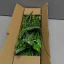 Waipfaru Artificial Plants Outdoor UV Resistant, Realistic Fake Plants Artificial Greenery, Large Bunches Faux Plants for Indoor Outdoor Porch Patio Garden Spring Summer Home Decor (Large 10pcs)