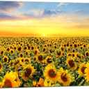 Faxiasho Small Sunflower Canvas Wall Art Sunset Floral Wall Decor Flower Pictures For Living Room Bedroom Bathroom 12" x 15"