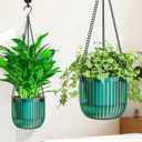 Halatool 2 Pack Hanging Planters Indoor Plant Pots, 6.5" & 8.3" Self Watering Hanging Basket Flower Pot, Translucent Plant Hanger with Drainage Holes for Garden Home Wall Decor (Peacock Green)