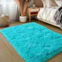 Rezutan Super Soft Rug for Bedroom,Modern Shaggy Rug Fuzzy Non-Slip Kids Nursery, Living Room, Bedroom Decor-Teal Blue 2x3 Feet