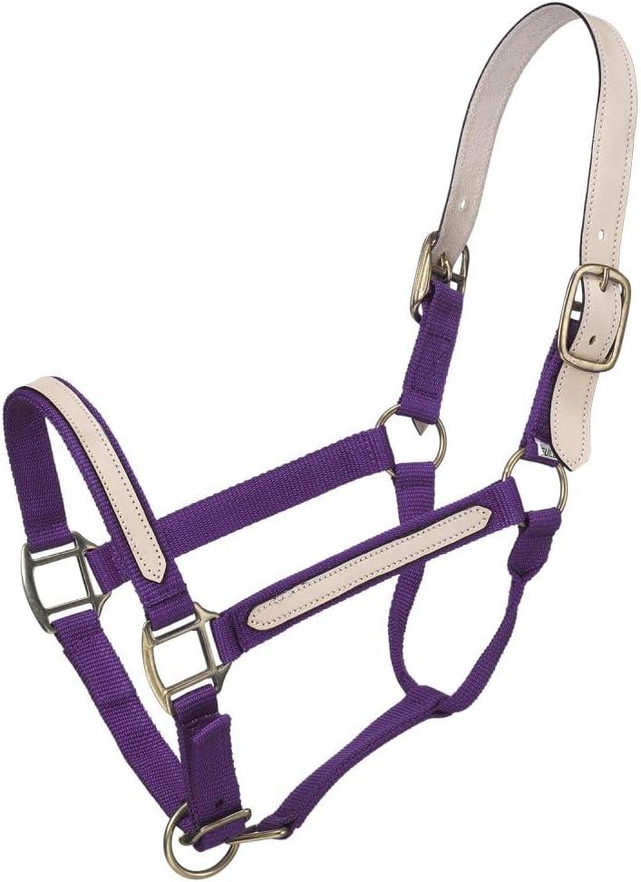 Tough 1 Break-Away Halter, Purple, Horse