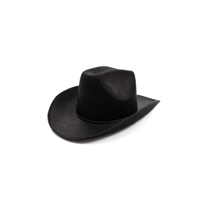 Little Adventures Costume Cowboy and Cowgirl Felt Hats