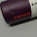 Stanley IceFlow Fast Flow Water Bottle | Angled Spout Lid | Lightweight & Leakproof for Travel & Sports | Insulated Stainless Steel | BPA-Free (36 Ounces, Plum)