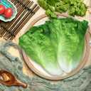Lorigun Artificial Lettuce, Fake Vegetable, Artificial Vegetables for Decoration, Home Kitchen Decor, PU Vegetable 2 Pcs