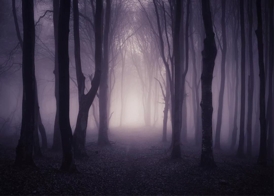 8X6FT Misty Spooky Forest Halloween Backdrop for Photography Mystery Scary Woods Cemetary Photo Backdrop Wizard Sorcerer Ghost Themed Party Banner Decors Photo Props F83