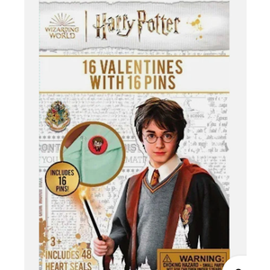 Harry Potter 16 Valentines Cards with Pins