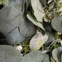 AUMVEYI 40 Pcs 4 Kinds Artificial Eucalyptus Leaves Stems Bulk, Fake Eucalyptus Greenery Picks, Mixed Faux Green Stems Leaves Decoration for Wedding Vase Bouquet Floral Arrangement