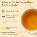 3 x Four Sigmatic Gut Health Organic Herbal Tea | Organic Lemon Ginger Tea with Probiotics & Turkey Tail Mushroom | Instant Digestive Tea | Vegan, Gluten-Free | Lemon Ginger, 24 Servings