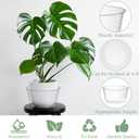 Tebery 50 Pack Clear Plastic Plant Saucer Drip Tray for Pots, 6 Inch Deep Flower Pot Saucers Water Catcher Tray Watering Trays for Plants Indoors and Outdoor
