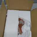 JBGIYOSG Mushroom Table Lamps Night Lights Cute Glass Nightstand Bedside Desk Lamps for Bedroom Living Study(Bulb Included) - Red