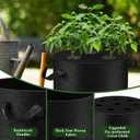 3 Pack 10 Gallon Grow Bags with Planting Holes, Planting Bags, Plant Grow Bags, Fabric Grow Bags, Heavy Duty Thickened Nonwoven Fabric Gardening Vegetable Growing Bags with 3/5/8 Planting Holes