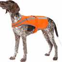 Reflective Dog Vest for Small Medium Breeds, High Visibility Dog Safety Vest with Removable Bell Keep Safe from Hunting, Training & Cars Accidents (Blaze Orange)