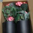 2 Pack Artificial Geranium Fake Flowers for Outdoors Spring Summer Decor, Silk Geraniums Flowers UV Resistant Faux Flower Potted Plants for Gardens Farmhouse Indoor Home Table Decor (Rose Red)