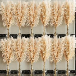 40" inch 60 Stems Natural Pampas Grass Decor Tall, pompas Grass, Tall Pampas Grass for Wedding, Party, Farmhouse, Boho Home Decor