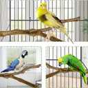 kathson Natural Parrot Perch Bird Stand Pole Wild Grape Stick Paw Grinding Fork Parakeet Climbing Standing Branches Toy Chewable Cage Accessories for Small Budgies Cockatiels Lovebirds 3PCS