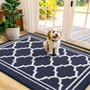 Buganda Indoor Door Mat, Dirt-Resistant and Absorbent Doormat, Anti-Slip, Low Profile Floor Mats for Inside Entryway, Front, and Back Door Entrance (48x32 Inches, Beige)