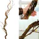 66.9in Flexible Artificial Wall Hanging Plants Tree Trunk Fake Cherry Blossom Branches Wood Twigs Twisted Cane Vine Grape Garland for Wedding Outdoor Garden Home Room Christmas Decoration