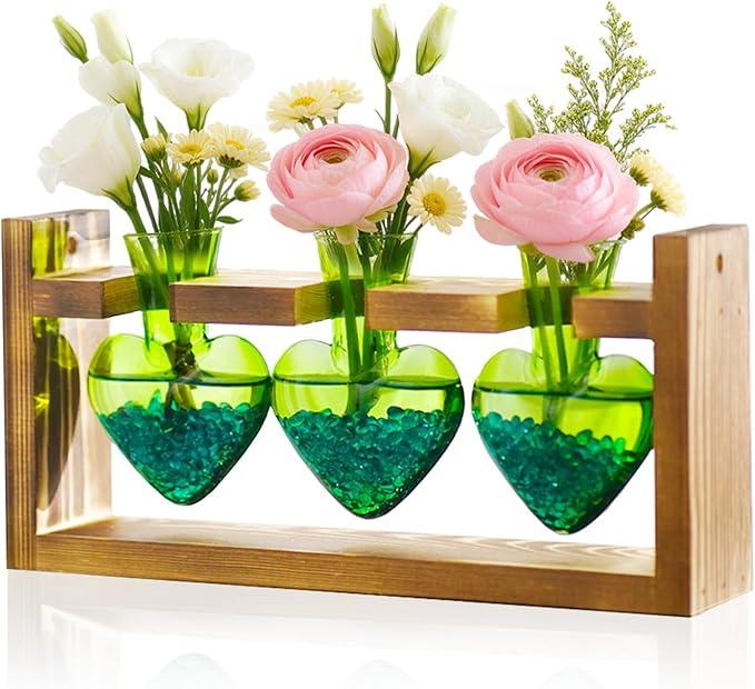 2+1 Plant Terrarium Plant Propagation Station Birthday Gifts for Women Home Office Decor with Wooden Stand