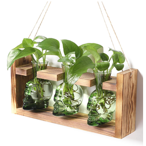2+1 Plant Terrarium Plant Propagation Station Gifts for Father Halloween Skull Home Office Decor with Wooden Stand