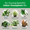 Miracle-Gro Indoor Potting Mix, Blended for a Variety of Houseplants, Feeds for up to 6 Months, 6 qt, 2-Pack