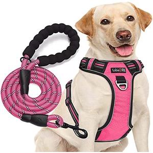 tobeDRI No Pull Dog Harness Adjustable Reflective Oxford Easy Control Medium Large Dog Harness with A Free Heavy Duty 5ft Dog Leash (M (Neck: 14.5"-20.5", Chest: 22"-28"), Pink Harness+Leash)