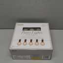 Brite Star 25 Count Frosted Clear G40 Light Set