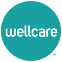 Wellcare Mini Tissues