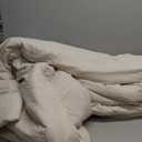 Bedsure King Size Comforter Set - Beige King Comforter Set, Soft Bedding for All Seasons, Cationic Dyed Bedding Set, 3 Pieces, 1 Comforter (104"x90") and 2 Pillow Shams (20"x36"+2")