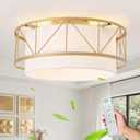 Gold Caged Ceiling Fan with Light, 20" Flush Mount Boho Ceiling Fans with Lights Remote Control, Low Profile Fandelier Fabric with 6 Speeds for Bedroom,Nursery,Living Room