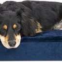 Furhaven Orthopedic Dog Bed for Medium/Small Dogs w/ Removable Bolsters & Washable Cover, For Dogs Up to 35 lbs - Plush & Velvet L Shaped Chaise - Deep Sapphire, Medium