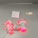 Hopolon 50 Red Christmas Lights, 2PACK White Wire 13Feet Long String Lights Set for Outdoor Indoor Dcor, Valentines Day, Wedding, Halloween, Christmas Trees, Holiday Lighting Decorations,Red