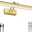 FUNCHDAY Picture Light,Battery Operated Art Lights for Wall,Wireless Remote Painting Light with Timer and Dimmable,16Metal Display Lighting for Artwork,Portrait,Gallery-Gold-L (L Size 16")