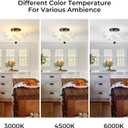 Semi Flush Mount Ceiling Light Fixture Vinatge Black Ceiling Lights Mid Century Modern Clear Glass Close to Ceiling Lighting Fixtures for Bedroom Hallway Foyer Bathroom Kitchen Laundry Room Nursery