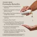 Stonehenge Health Dynamic Brain BacoMind Bacopa Nootropic Formula Memory, Recall & Retention, Phosphatidylserine, Huperzine A, DHA & Choline 40 Brain-Boosting Ingredients Non-GMO, 60 Caps, Expiry: 06/2028