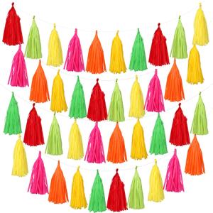 45 Pcs Colorful Tassel Garland Decorations Tissue Paper Tassel Banner Rainbow Garland Hanging Decorations for Wedding Bachelorette Baby Shower Birthday Group Activities Games Decor Supplies