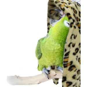 SIMENA Bird Blanket for Cage, Corner Fleece Bed for Birds, Cozy Bird Warmer, Parrot House for Cage, Cuddle Nest Hanging Toy for Lovebirds Parakeet (Yellow, Small)