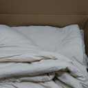 Bedsure Queen Comforter Set, Cream Soft Prewashed Bedding for All Seasons, 3 Pieces GentleSoft Bed Set, 1 Lightweight Comforter (90"x90") and 2 Pillowcases (20"x26")