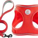 Hipubby Dog Harness and Leash Set, No Pull Soft Mesh Puppy Harness for Small Medium Dogs, Cats - Step in Reflective Breathable Lightweight Vest Harness for Walking, Training - Red, L (L (Chest: 19"-20.5"))