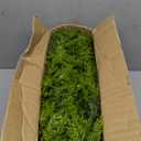 2PCS 9FT Christmas Cedar Garland Artificial Realistic Green Faux Real Touch Winter Pine Garland for Mantle Fireplace Wall Table Indoor Outdoor Decoraiton