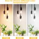 Svater Vintage LED Edison Bulbs, 6W Equivalent 60W, High Brightness Neutral White 4000K, ST58 Antique LED Filament Bulbs with 85+ CRI, E26 Medium Base, Dimmable, Clear Glass, Pack of 6