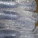 Blue Plastic Champagne Flutes 12 Pcs, 5.5oz Unbreakable Detachable Champagne Glasses, Reusable BPA-free Stemware Cups for Wedding Toasting, Parties, Mimosa Bar