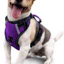 No Pull Dog Harness, Reflective Walking Dog Harness with Easy Control Handle and Front & Back Clips,Adjustable Breathable Soft Padded Dog Vest Harness for Large Medium Small Dogs,Purple,S (Modern Violet)