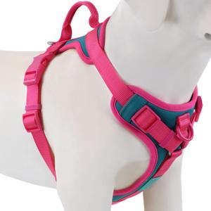Wolfone No Pull Dog Harness Adjustable Soft Padded Pet Vest with Control Handle Adorable Daily Harness for Dogs Viridian Green XL Neck21-33, Chest25-38)