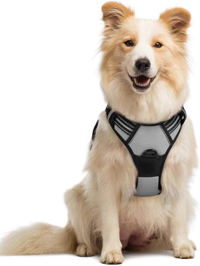 rabbitgoo Dog Harness No Pull with 2 Leash Clips, Adjustable Soft Padded, Reflective Oxford No Choke Pet Vest with Easy Control Handle for Medium Sized Dogs, Grey, M (Gray)