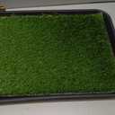 Ottomanson Artificial Grass Puppy Potty Training Pad with Tray, 15" x 30" Reusable Pee Pad for Small Pets and Dogs